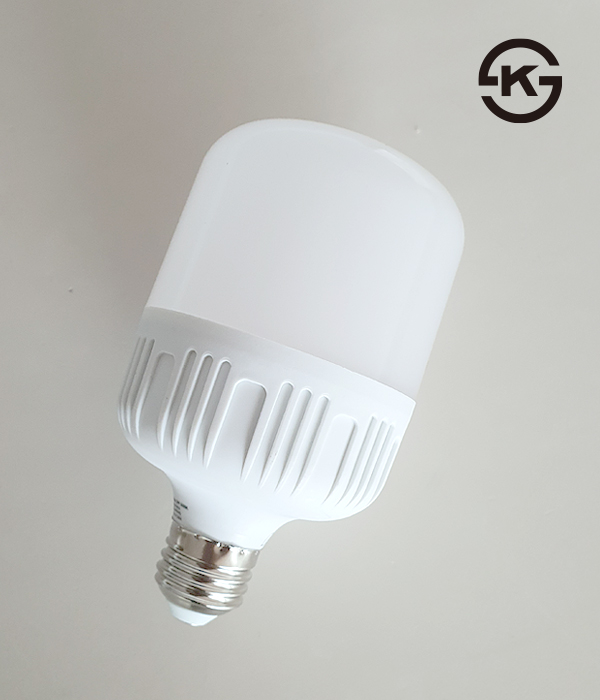 LED 보안등 전구 램프 [20W]